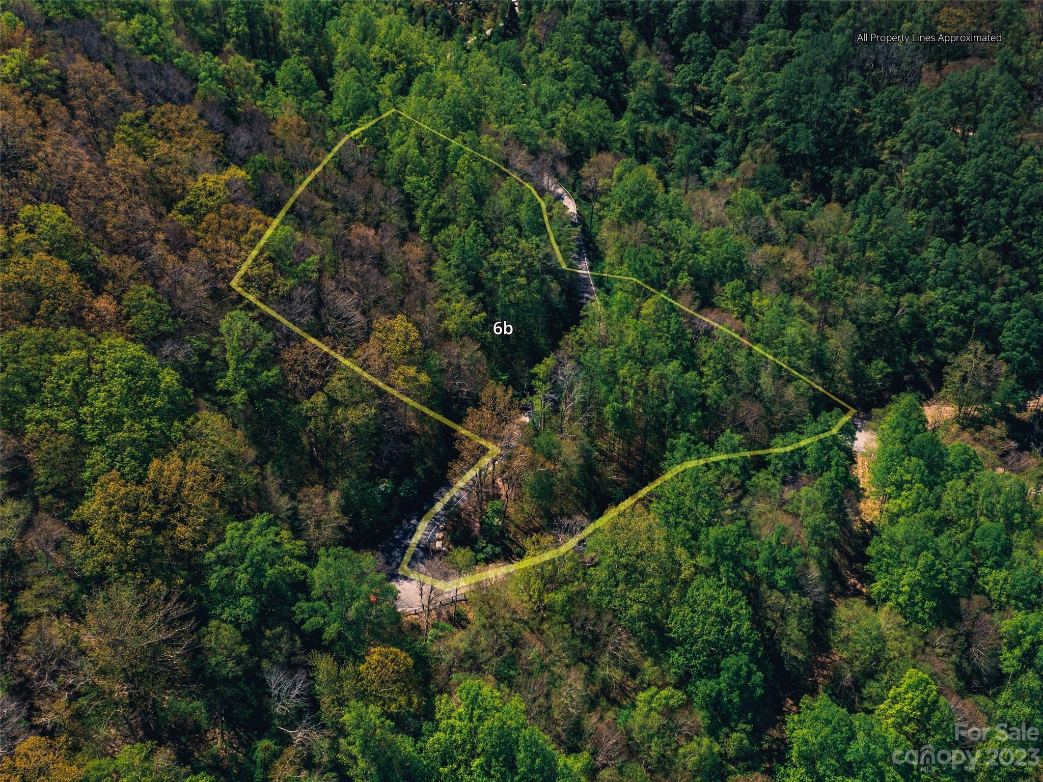 64 Flora Rose Trail Asheville NC 28803