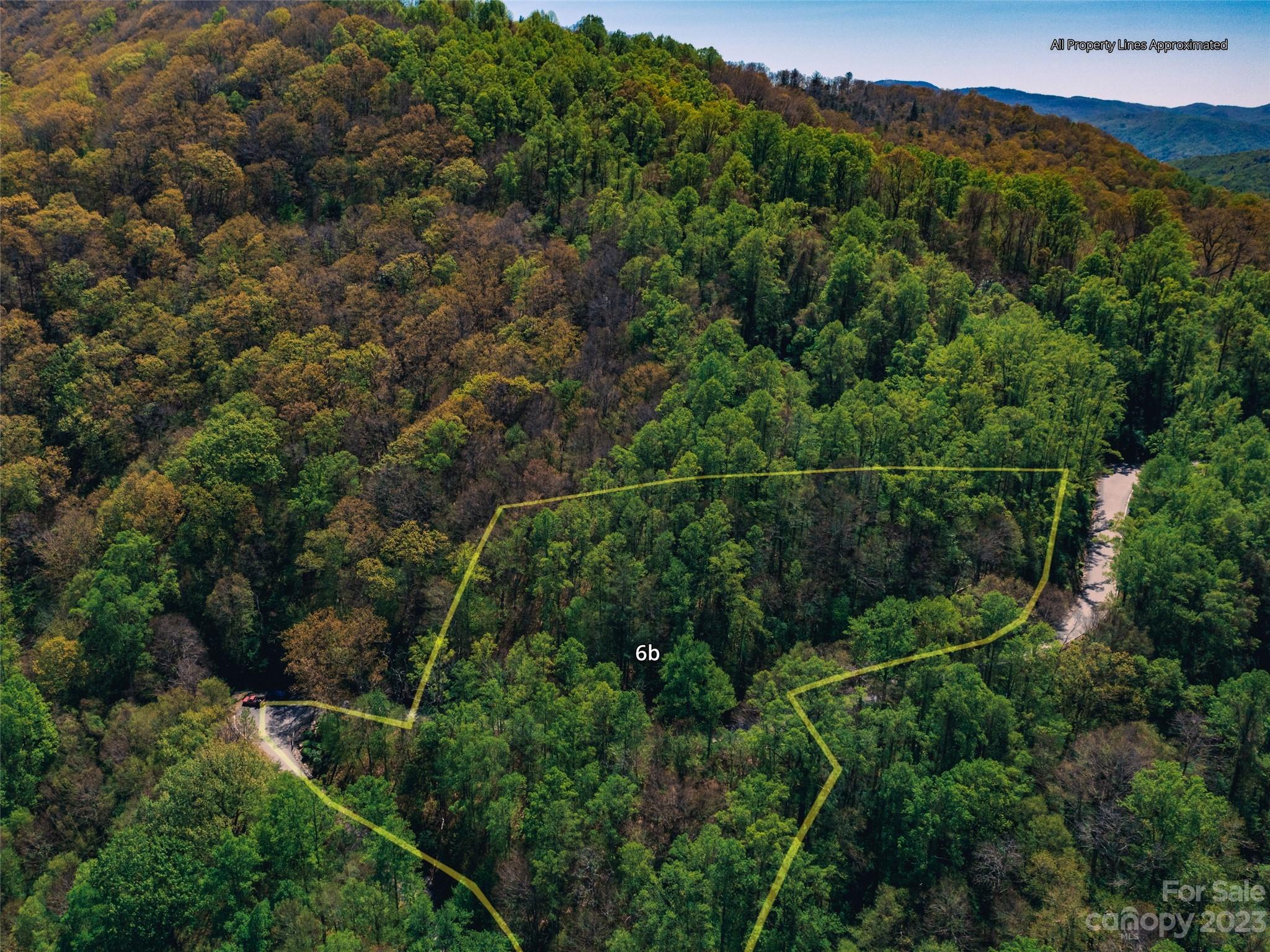 64 Flora Rose Trail Asheville NC 28803