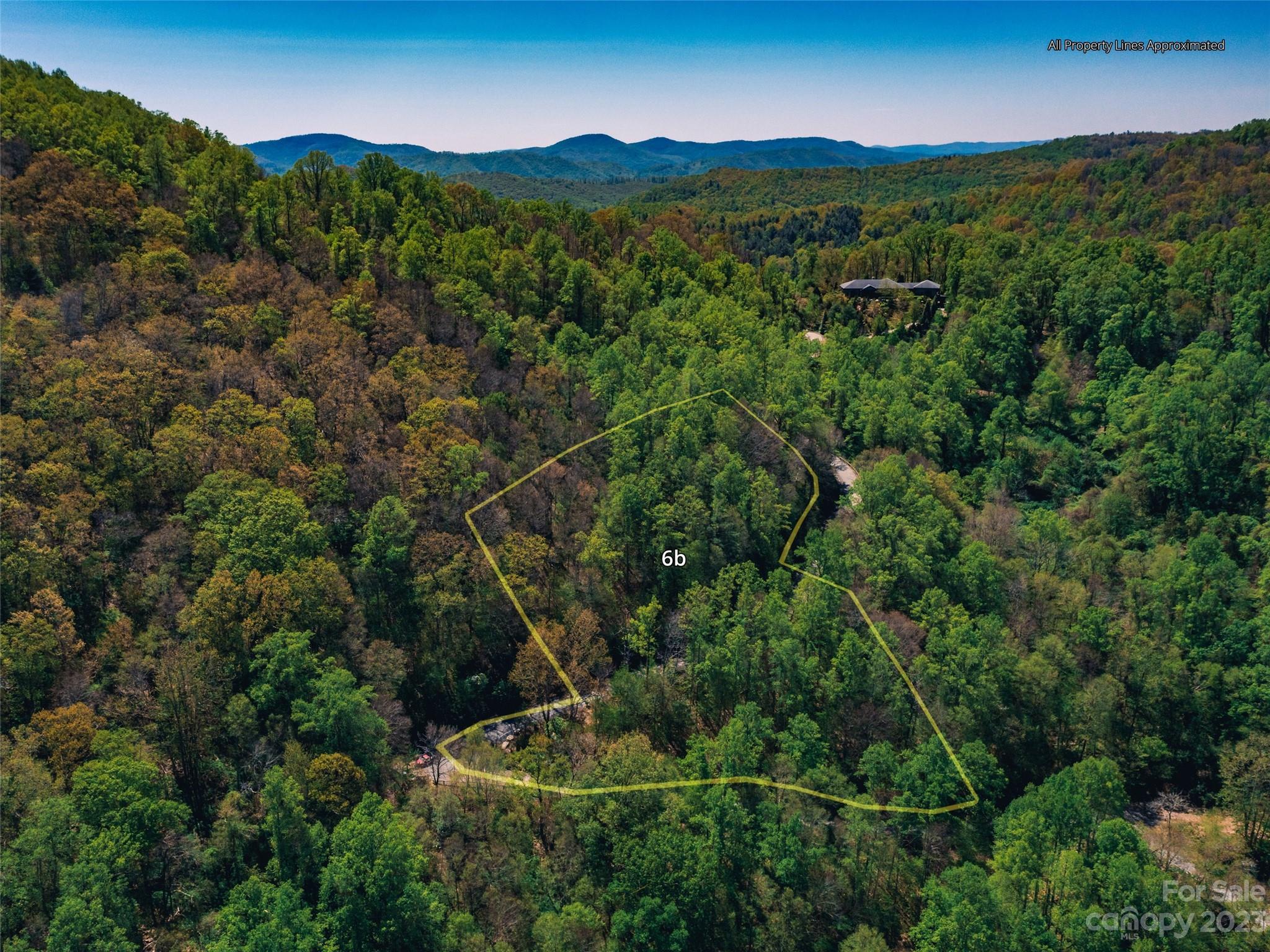 64 Flora Rose Trail Asheville NC 28803