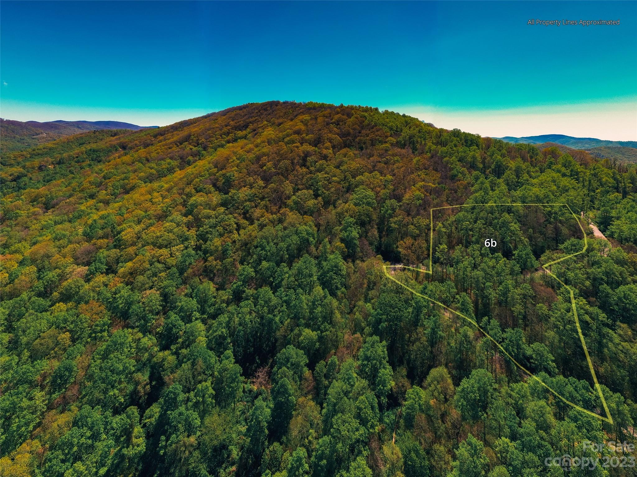 64 Flora Rose Trail Asheville NC 28803