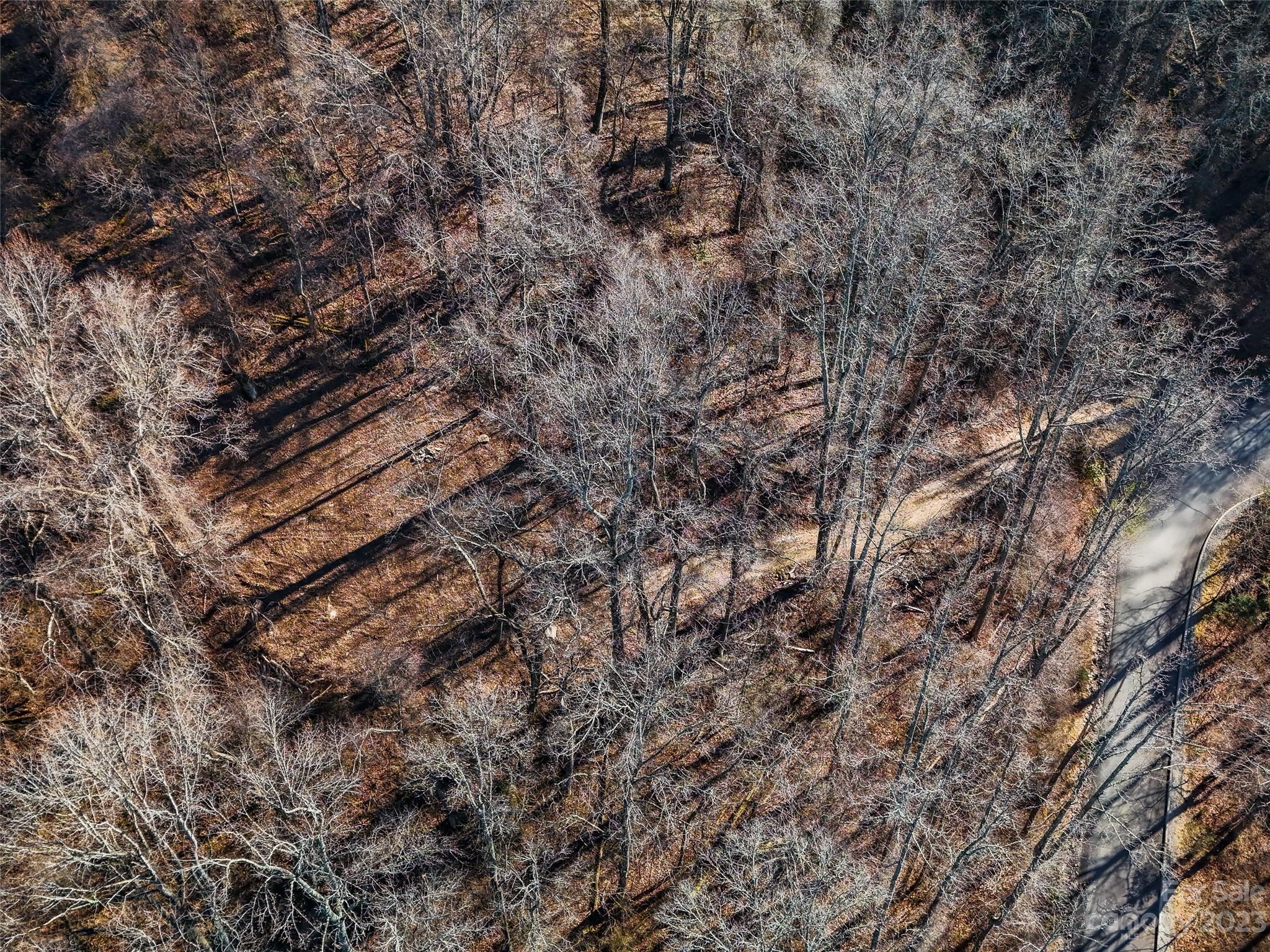 64 Flora Rose Trail Asheville NC 28803