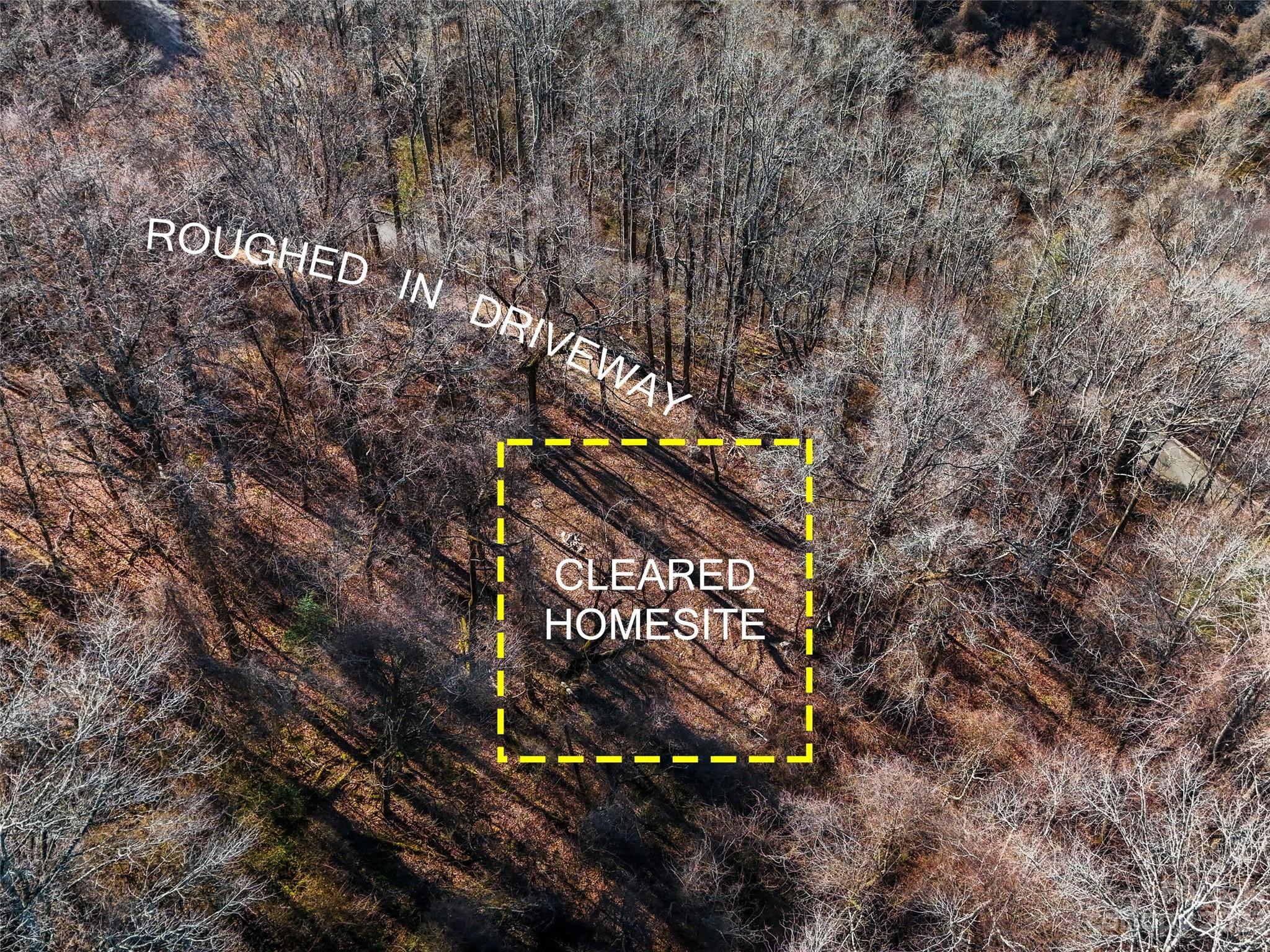 64 Flora Rose Trail Asheville NC 28803