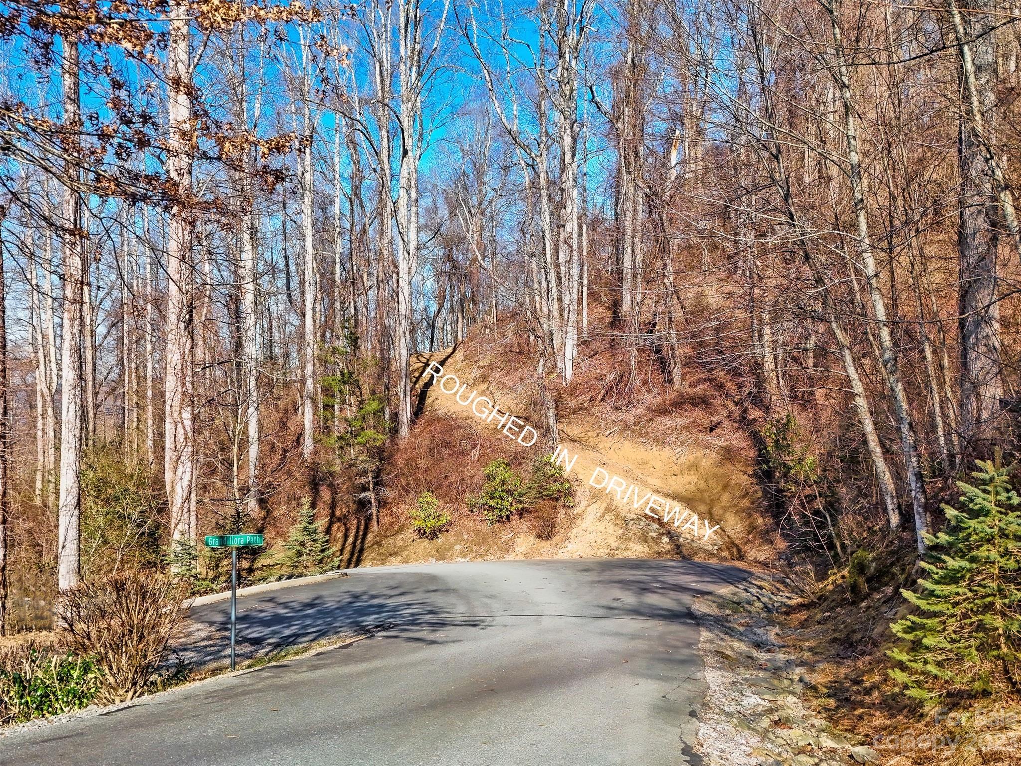 64 Flora Rose Trail Asheville NC 28803