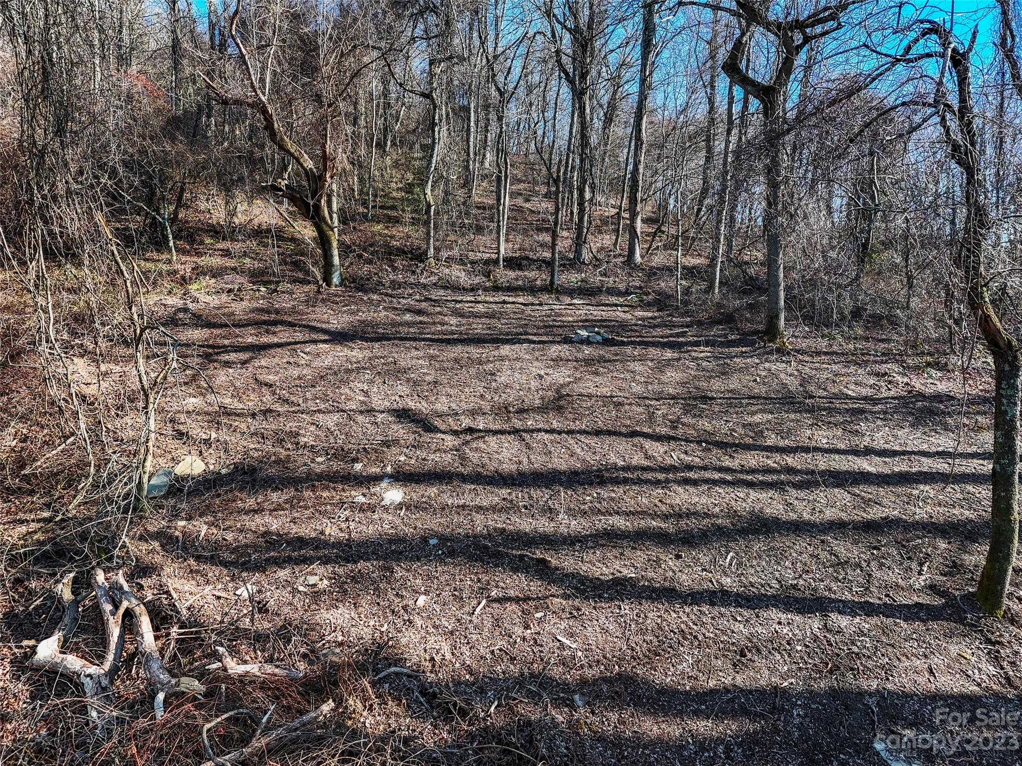 64 Flora Rose Trail Asheville NC 28803