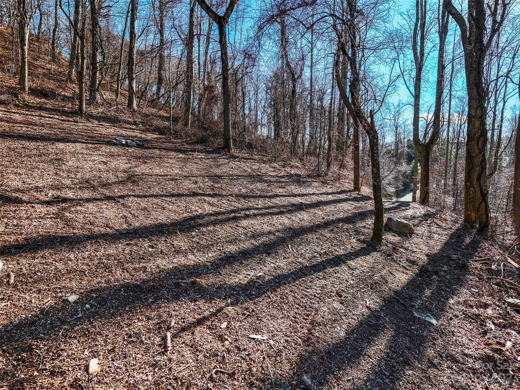 64 Flora Rose Trail Asheville NC 28803