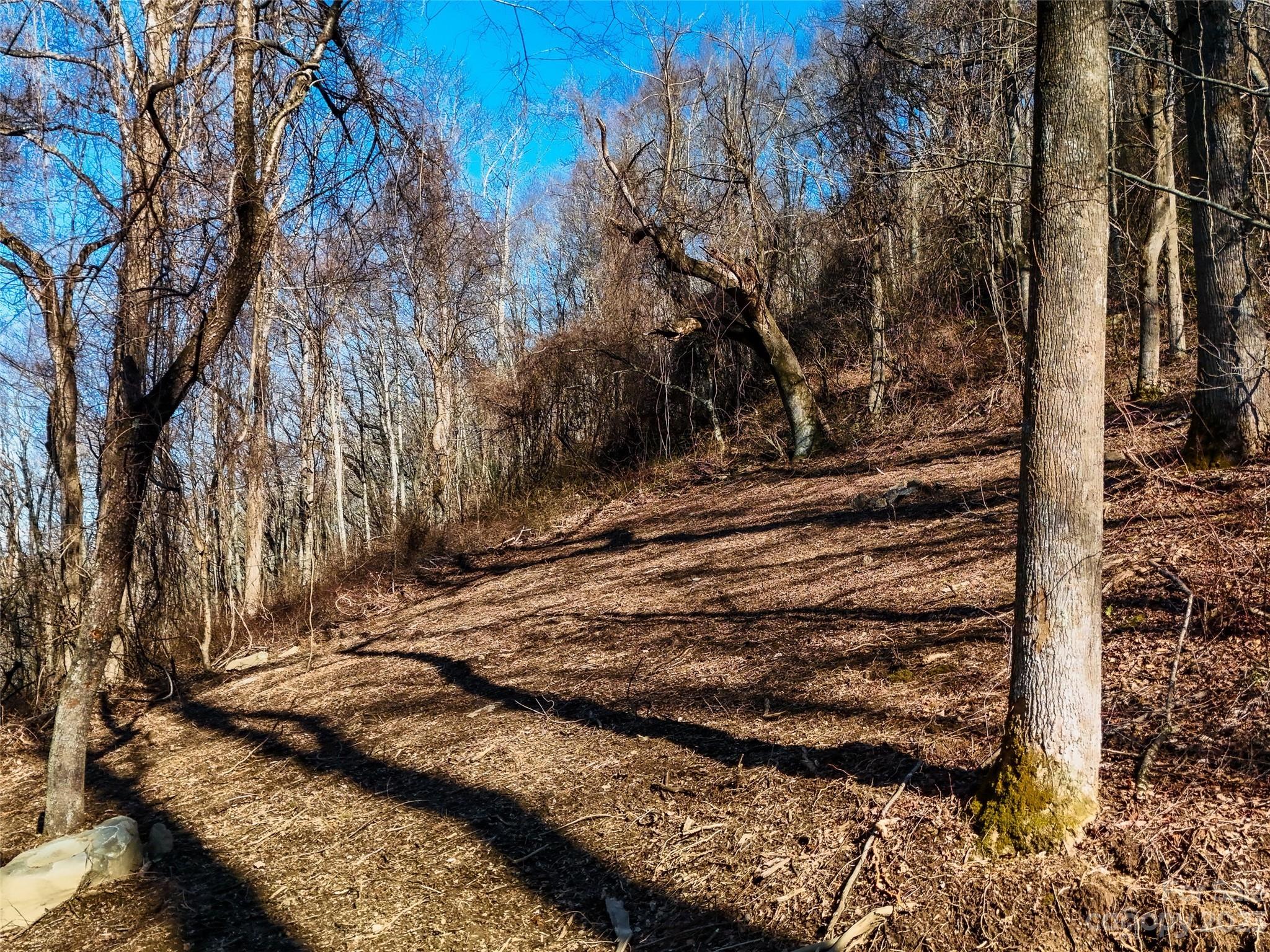 64 Flora Rose Trail Asheville NC 28803