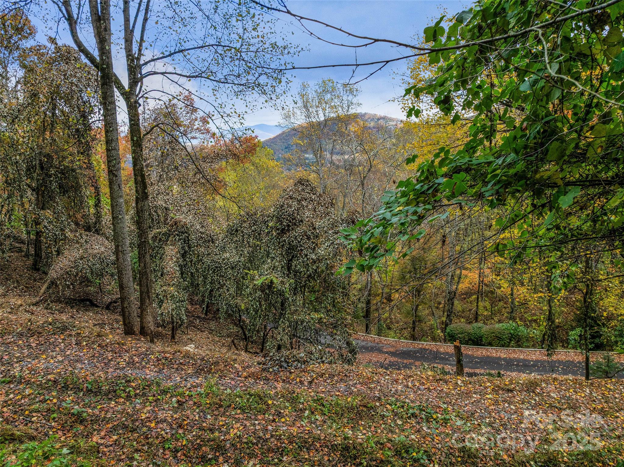 45 Flora Rose Trail Asheville NC 28803