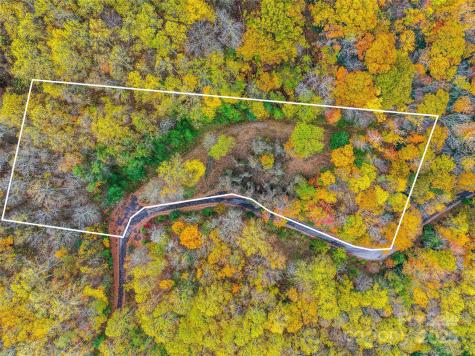 45 Flora Rose Trail Asheville NC 28803