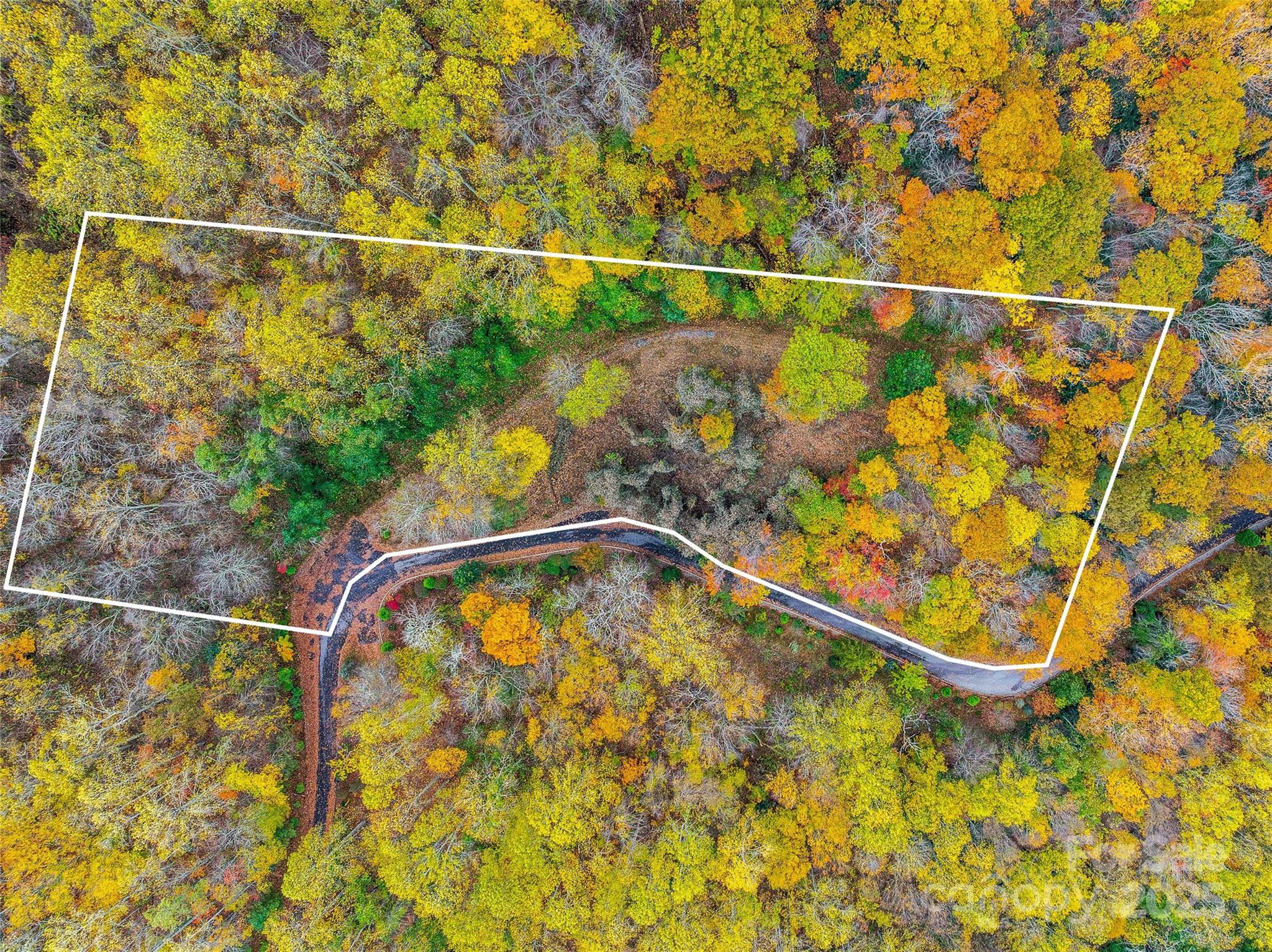 45 Flora Rose Trail Asheville NC 28803