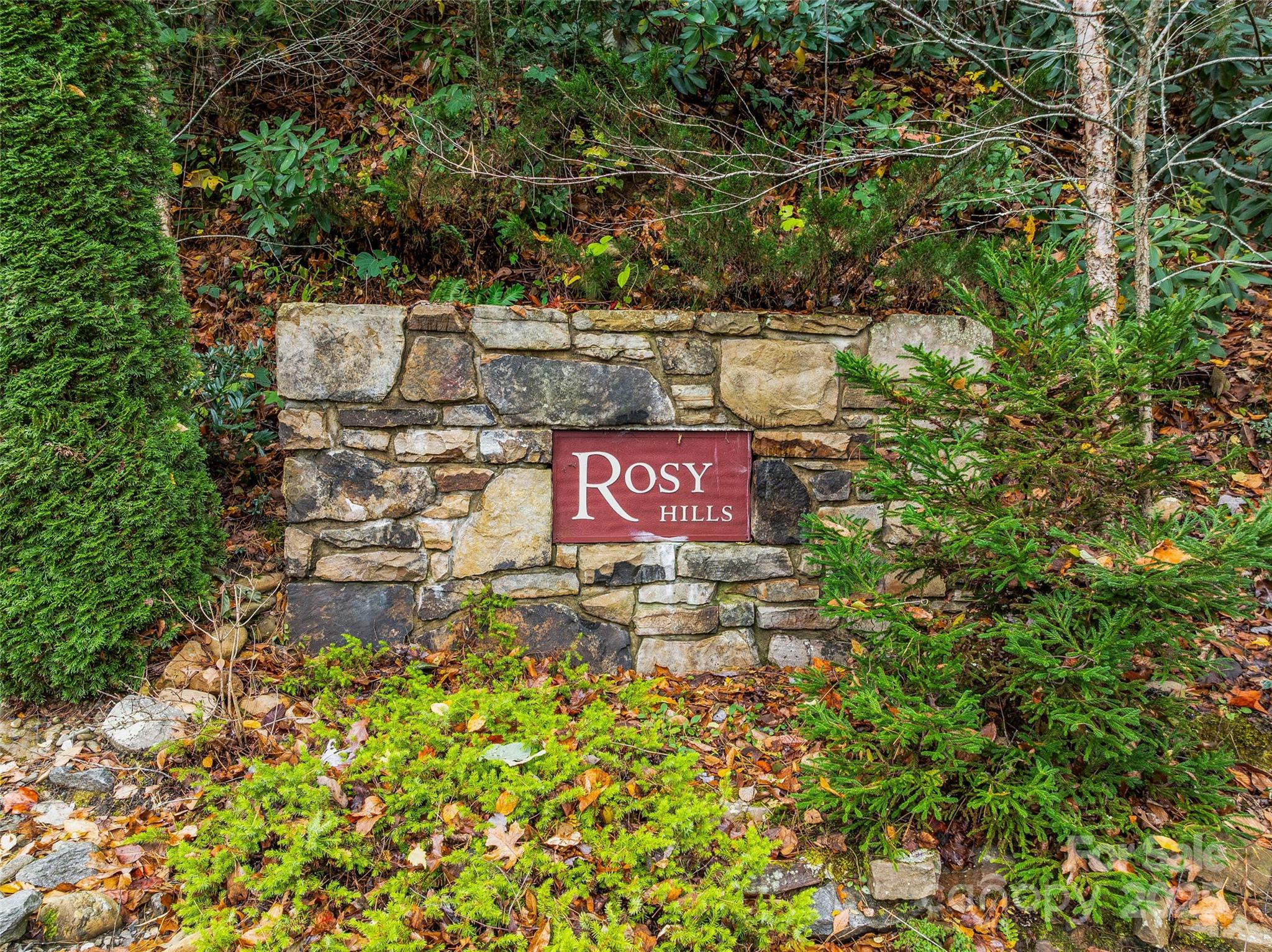 45 Flora Rose Trail Asheville NC 28803