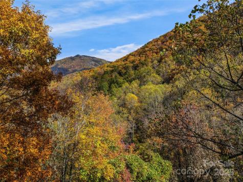 45 Flora Rose Trail Asheville NC 28803