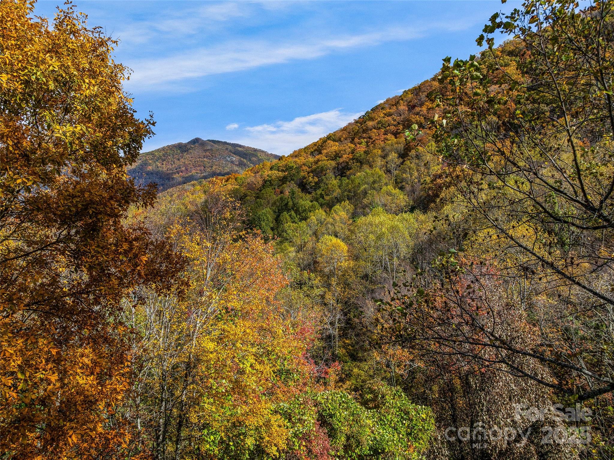 45 Flora Rose Trail Asheville NC 28803
