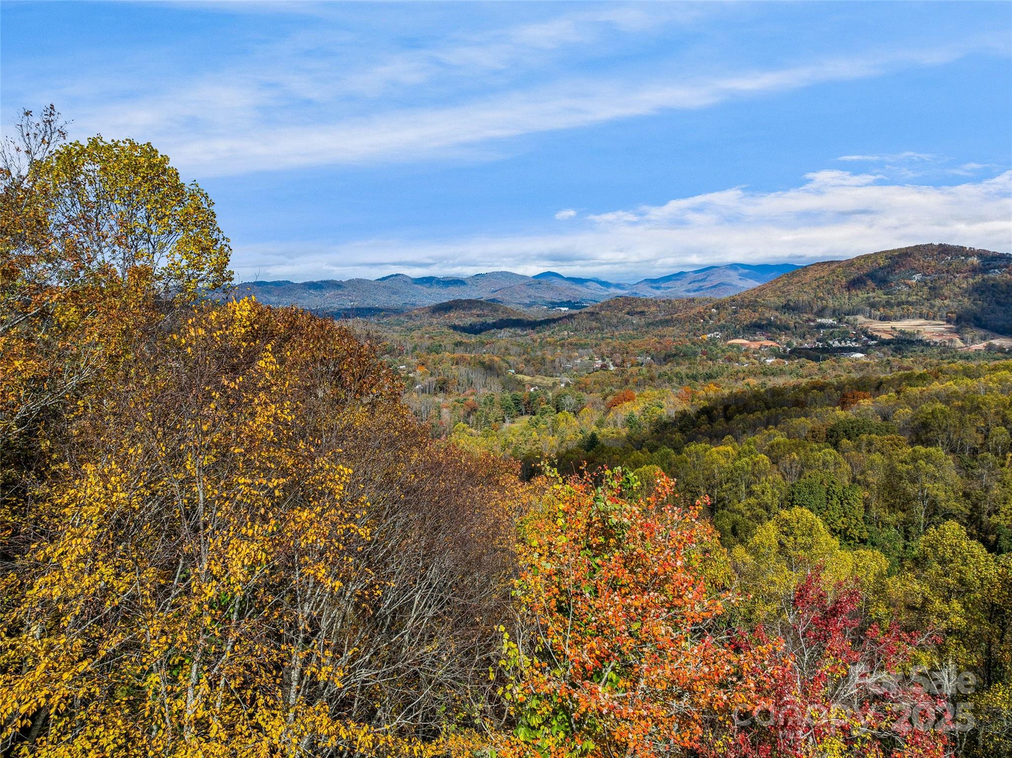 45 Flora Rose Trail Asheville NC 28803