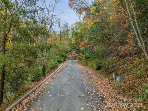 45 Flora Rose Trail Asheville NC 28803