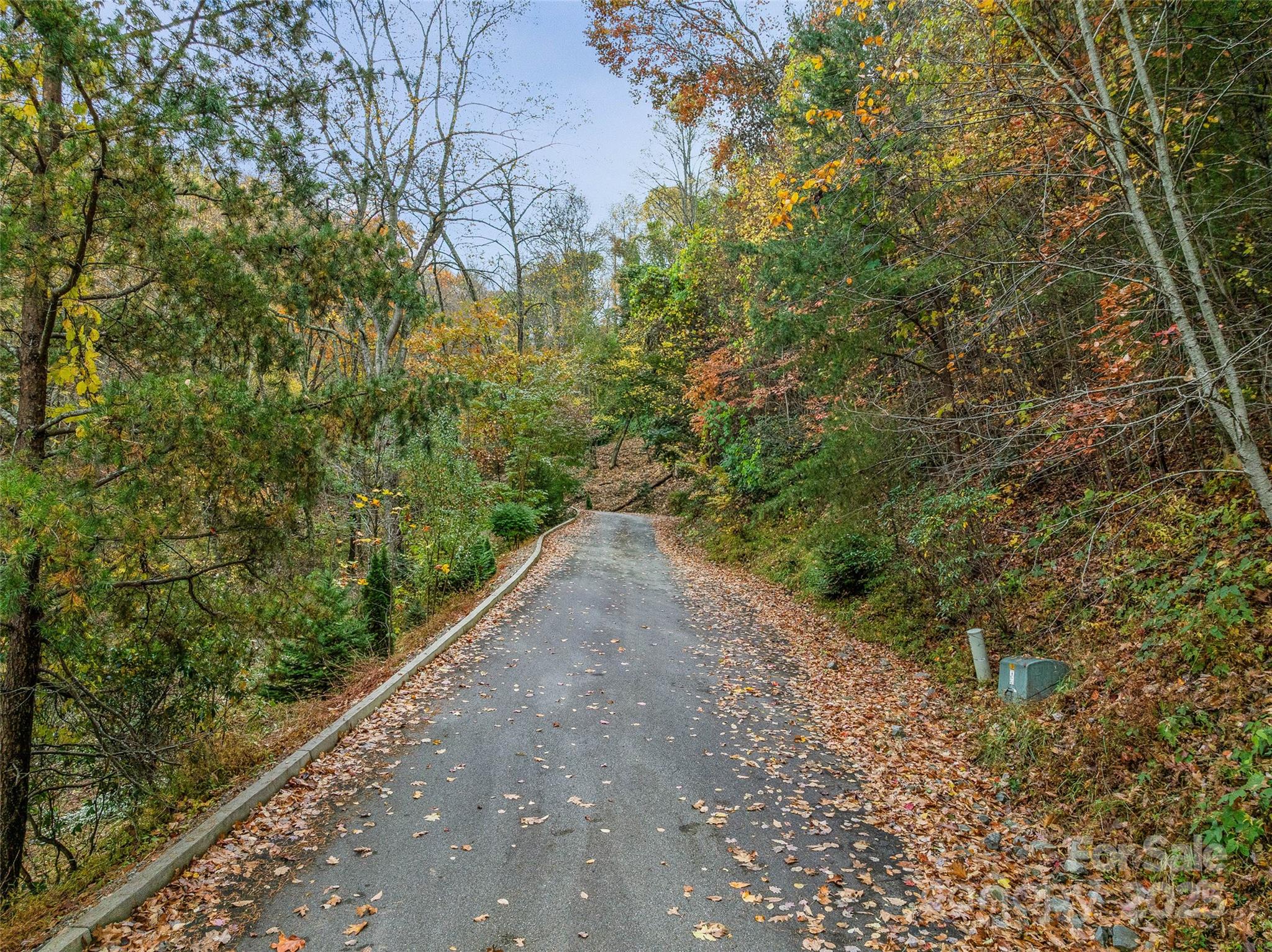 45 Flora Rose Trail Asheville NC 28803