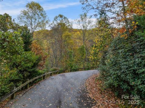 45 Flora Rose Trail Asheville NC 28803