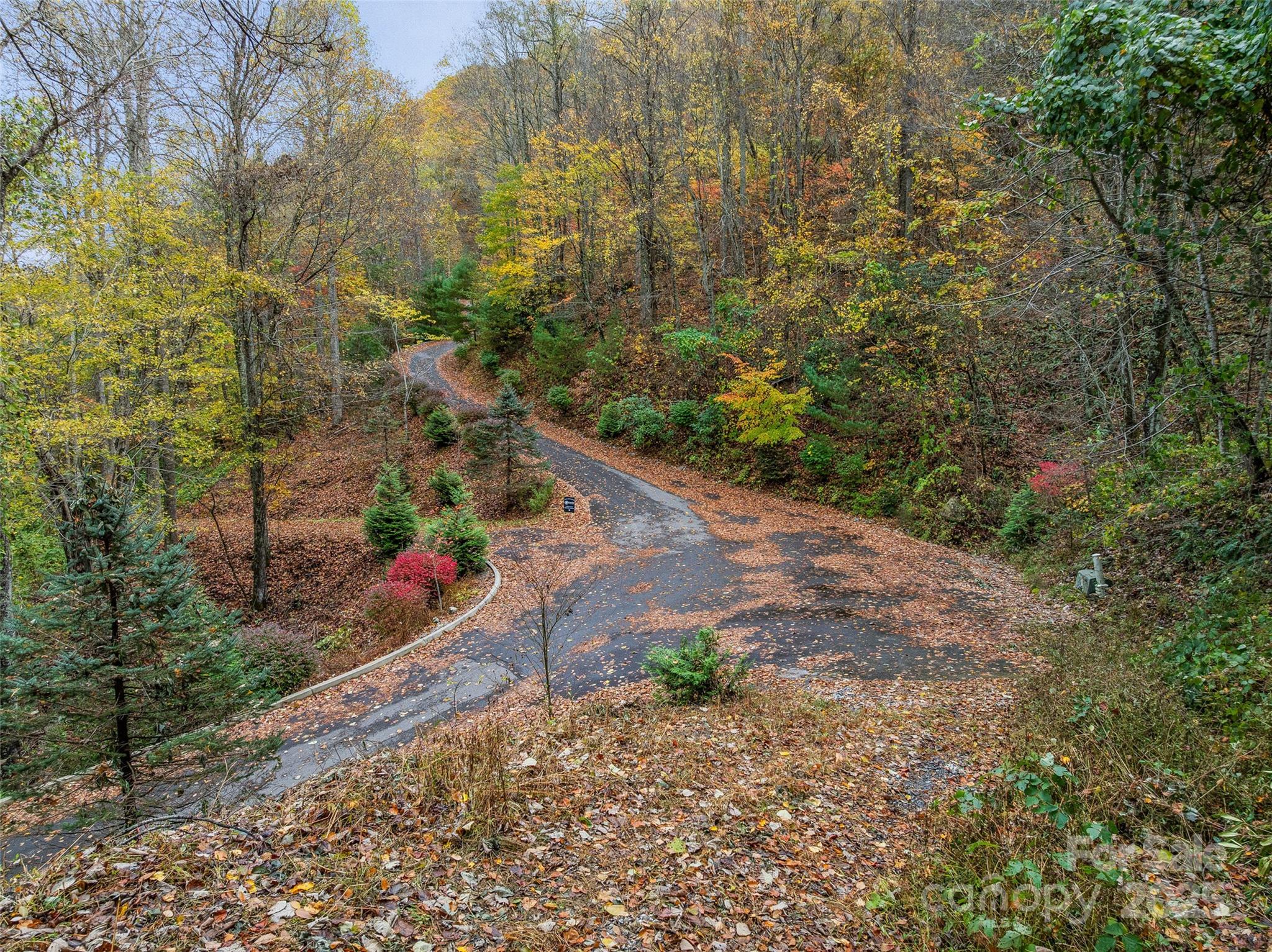 45 Flora Rose Trail Asheville NC 28803