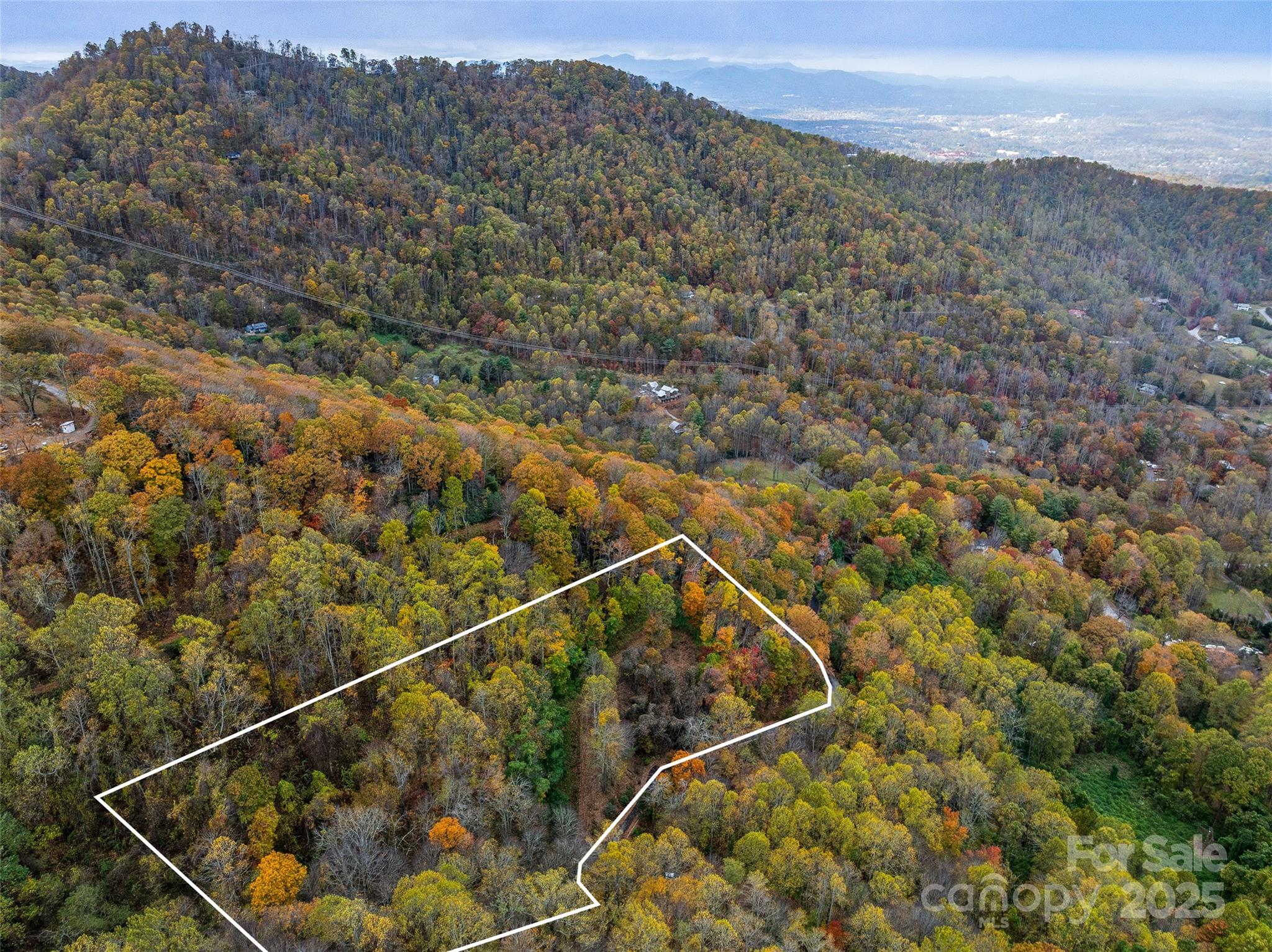 45 Flora Rose Trail Asheville NC 28803