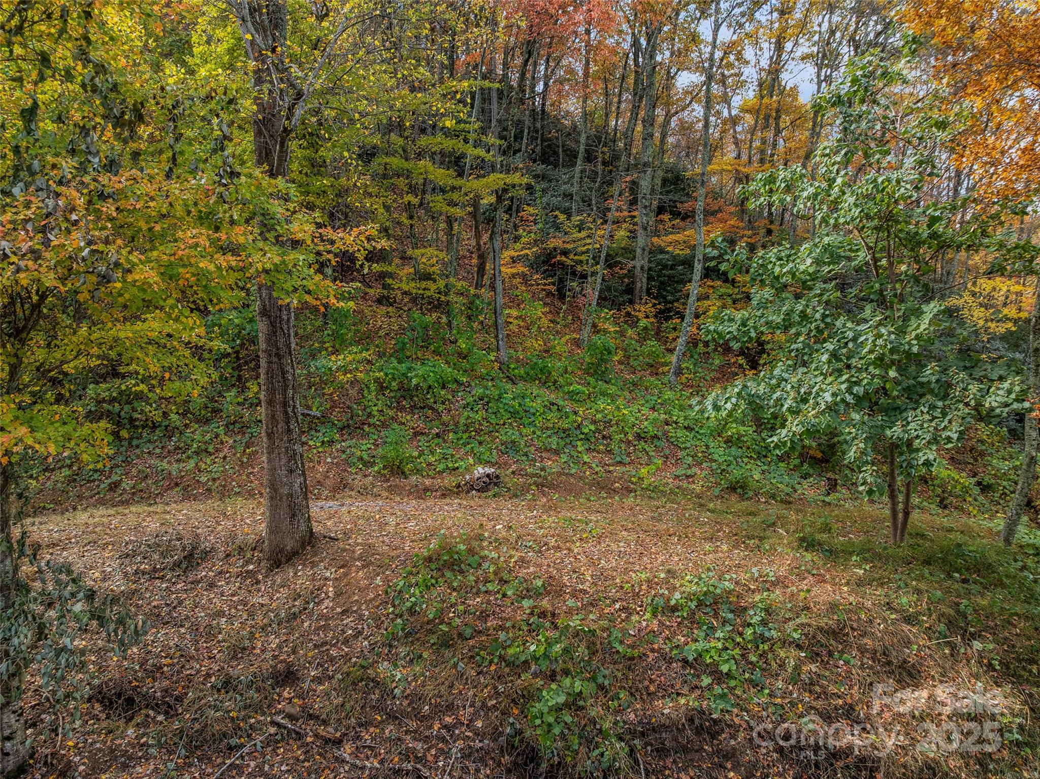 45 Flora Rose Trail Asheville NC 28803