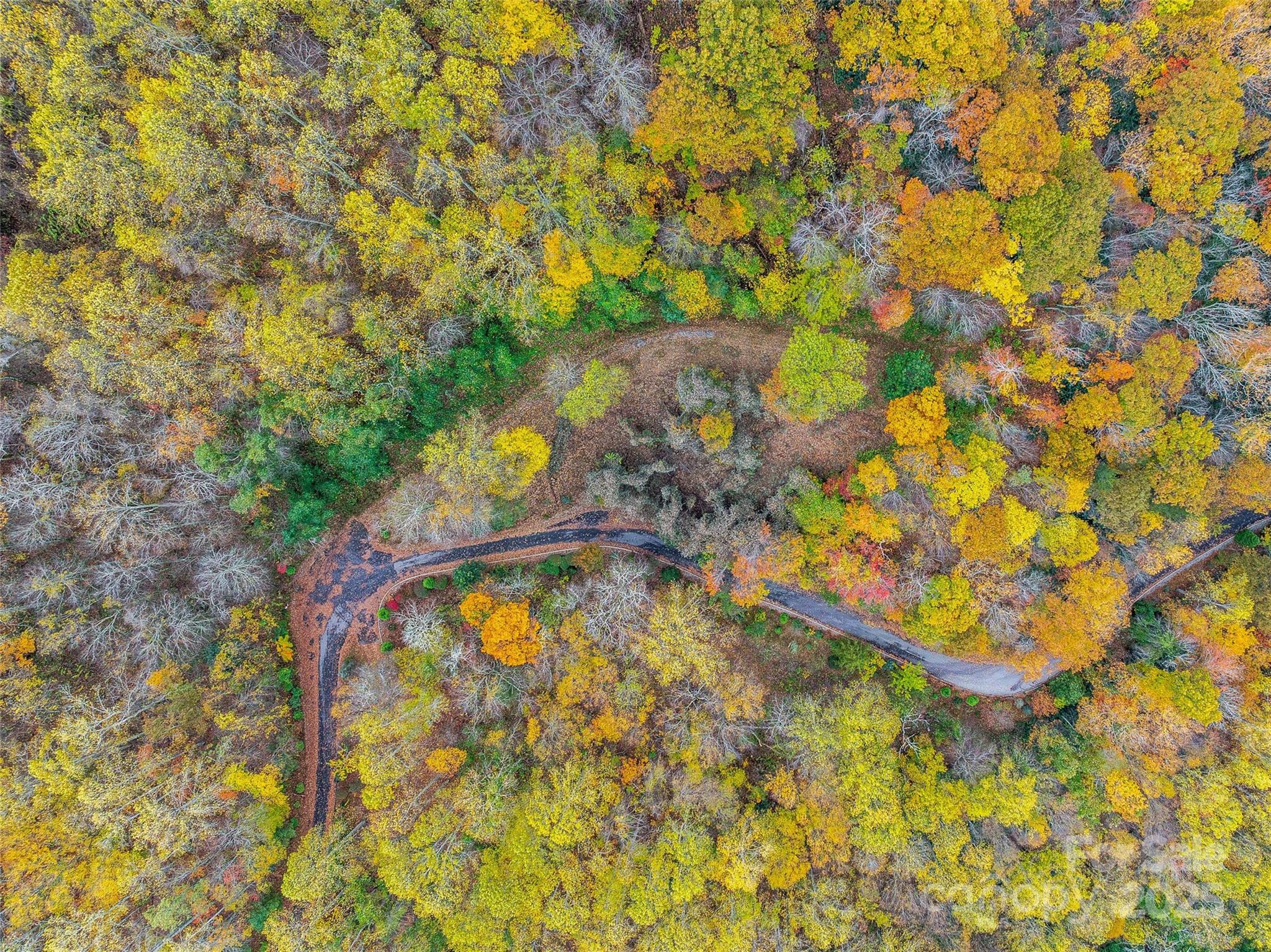 45 Flora Rose Trail Asheville NC 28803