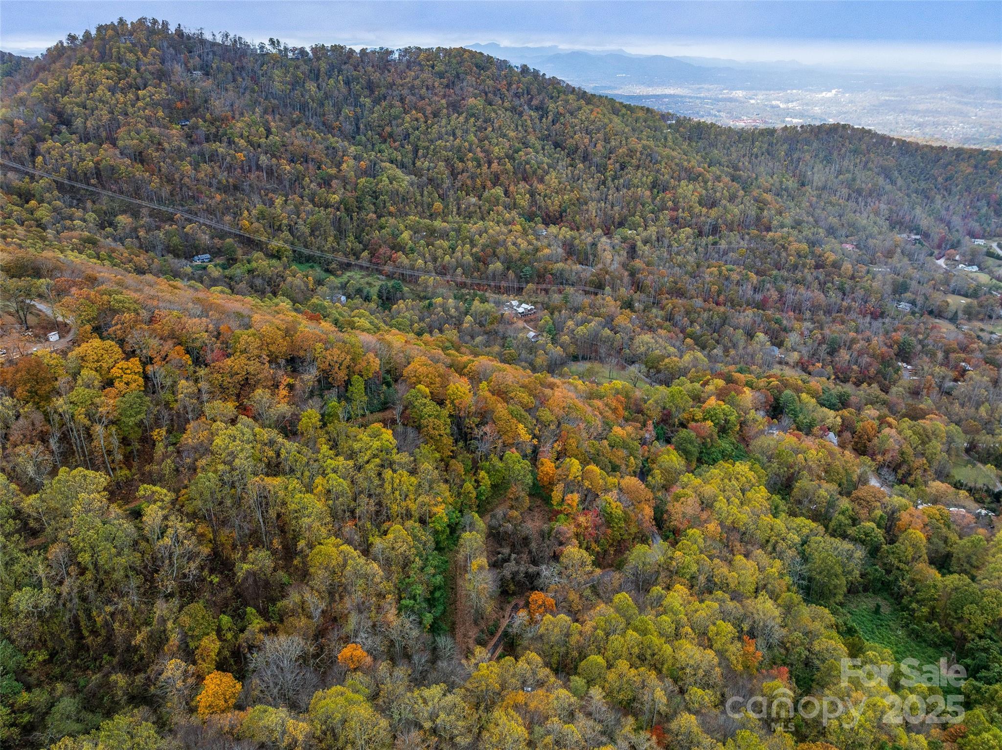 45 Flora Rose Trail Asheville NC 28803