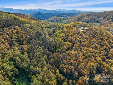 45 Flora Rose Trail Asheville NC 28803