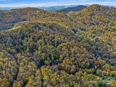 45 Flora Rose Trail Asheville NC 28803