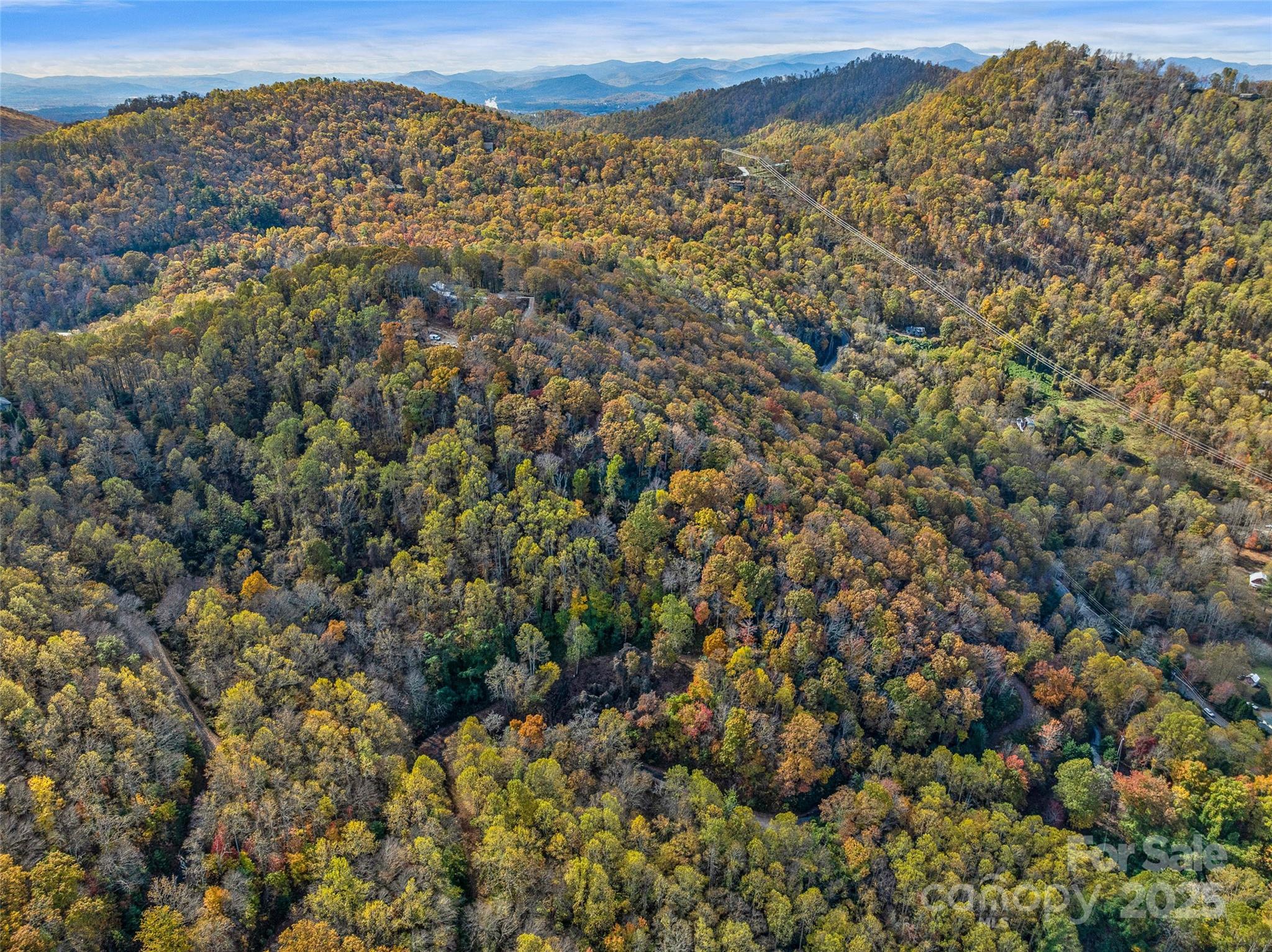 45 Flora Rose Trail Asheville NC 28803