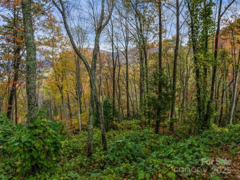 45 Flora Rose Trail Asheville NC 28803