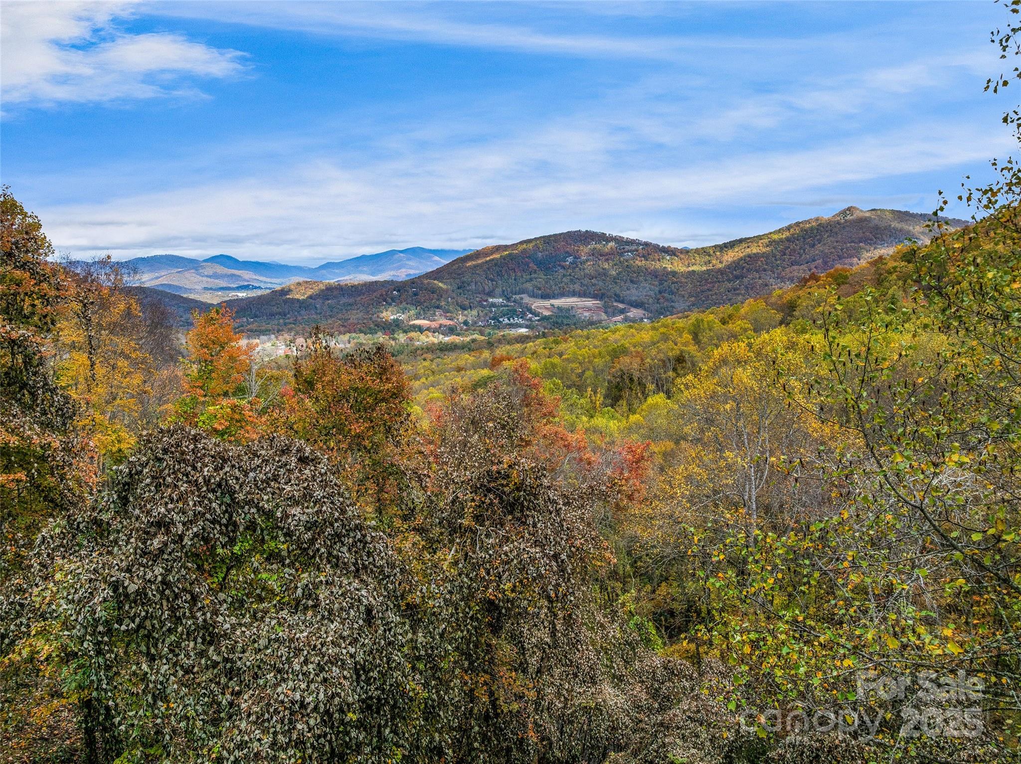 45 Flora Rose Trail Asheville NC 28803