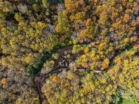 45 Flora Rose Trail Asheville NC 28803