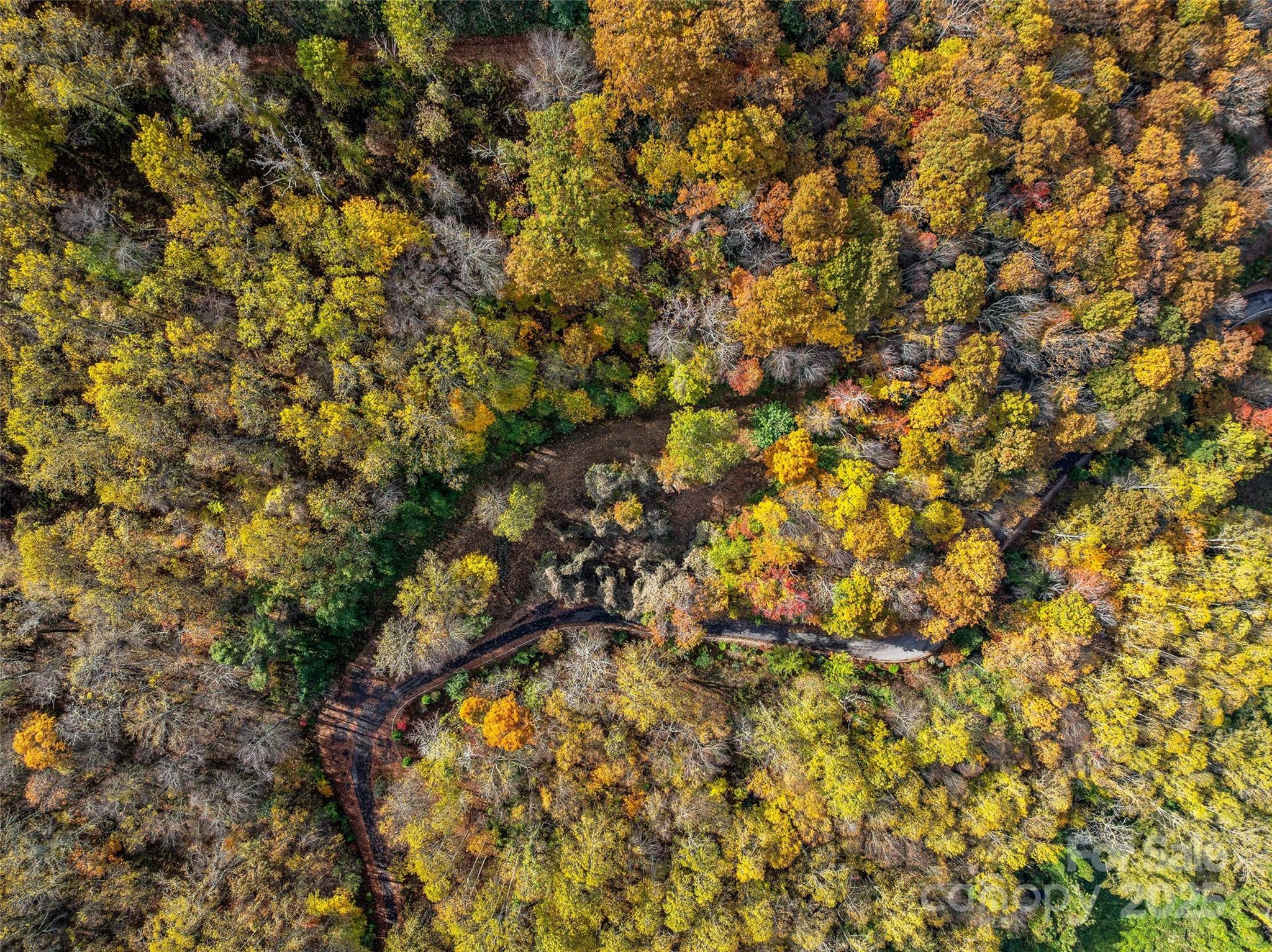 45 Flora Rose Trail Asheville NC 28803