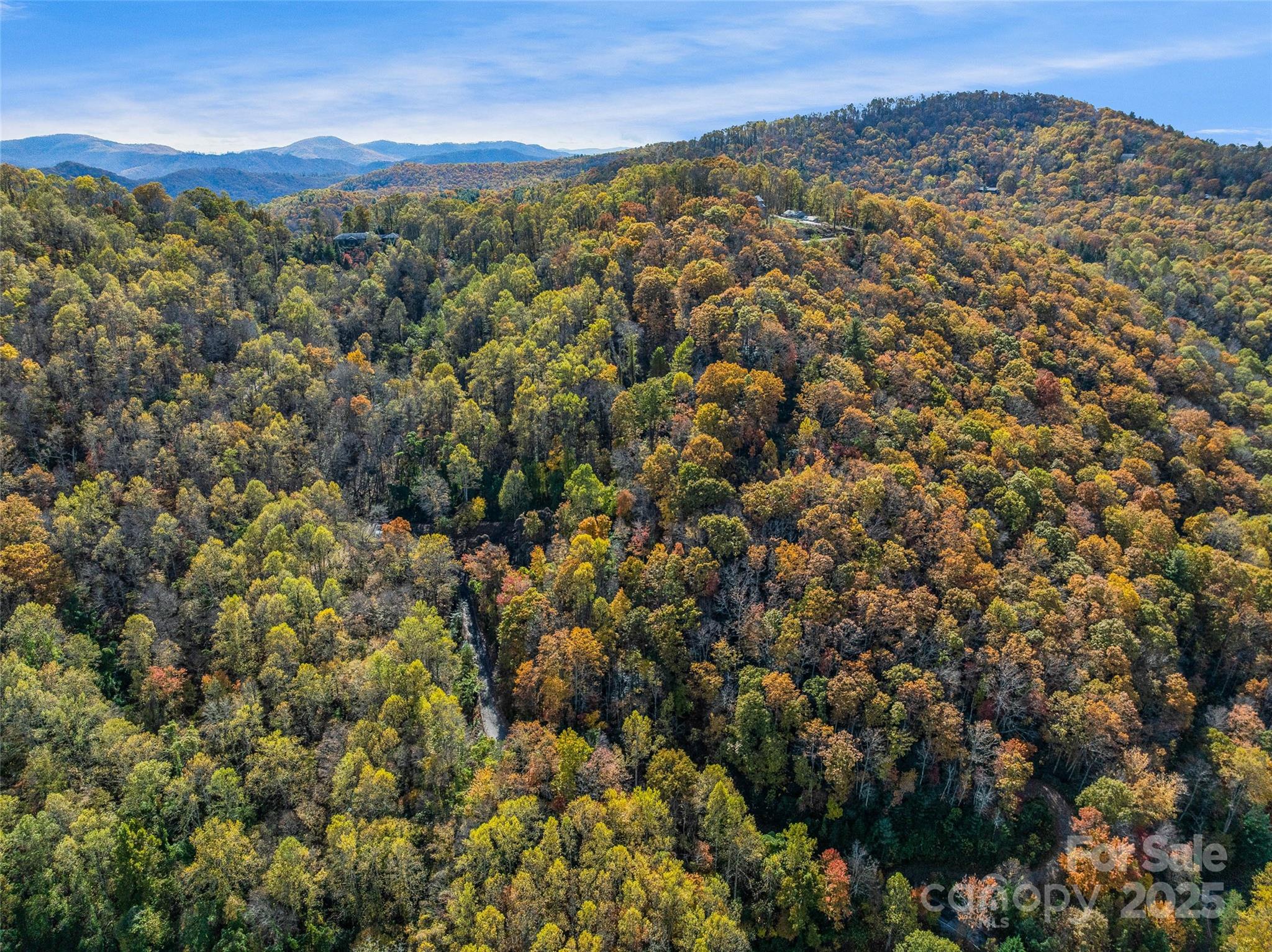 45 Flora Rose Trail Asheville NC 28803