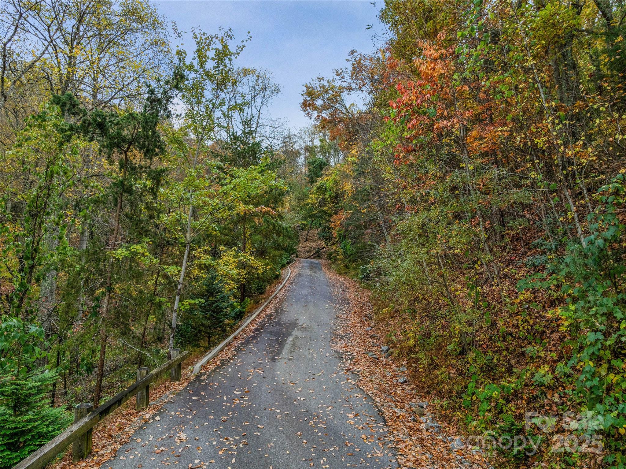 45 Flora Rose Trail Asheville NC 28803