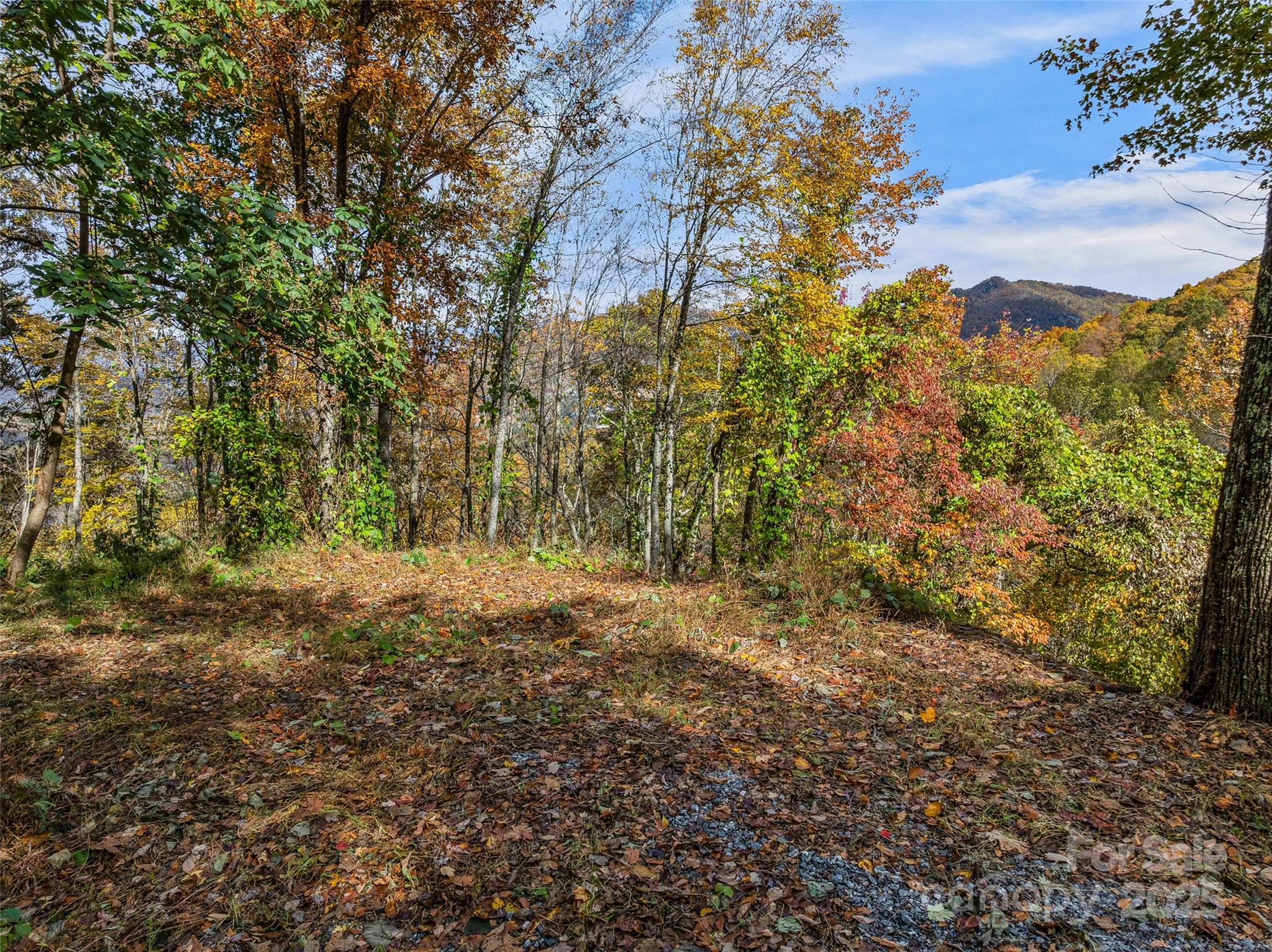 45 Flora Rose Trail Asheville NC 28803