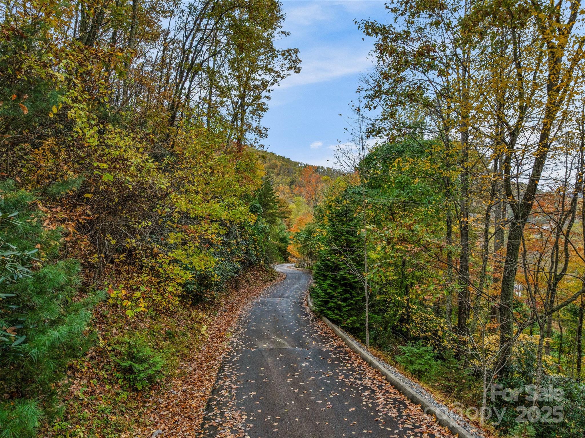 45 Flora Rose Trail Asheville NC 28803