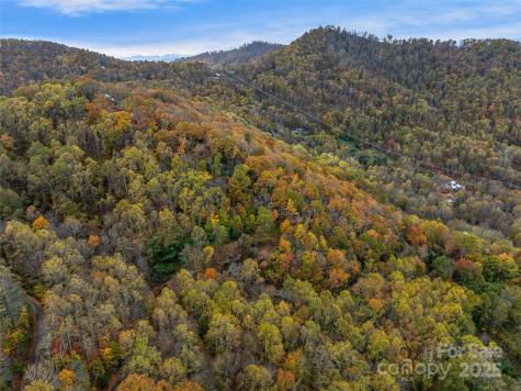 45 Flora Rose Trail Asheville NC 28803