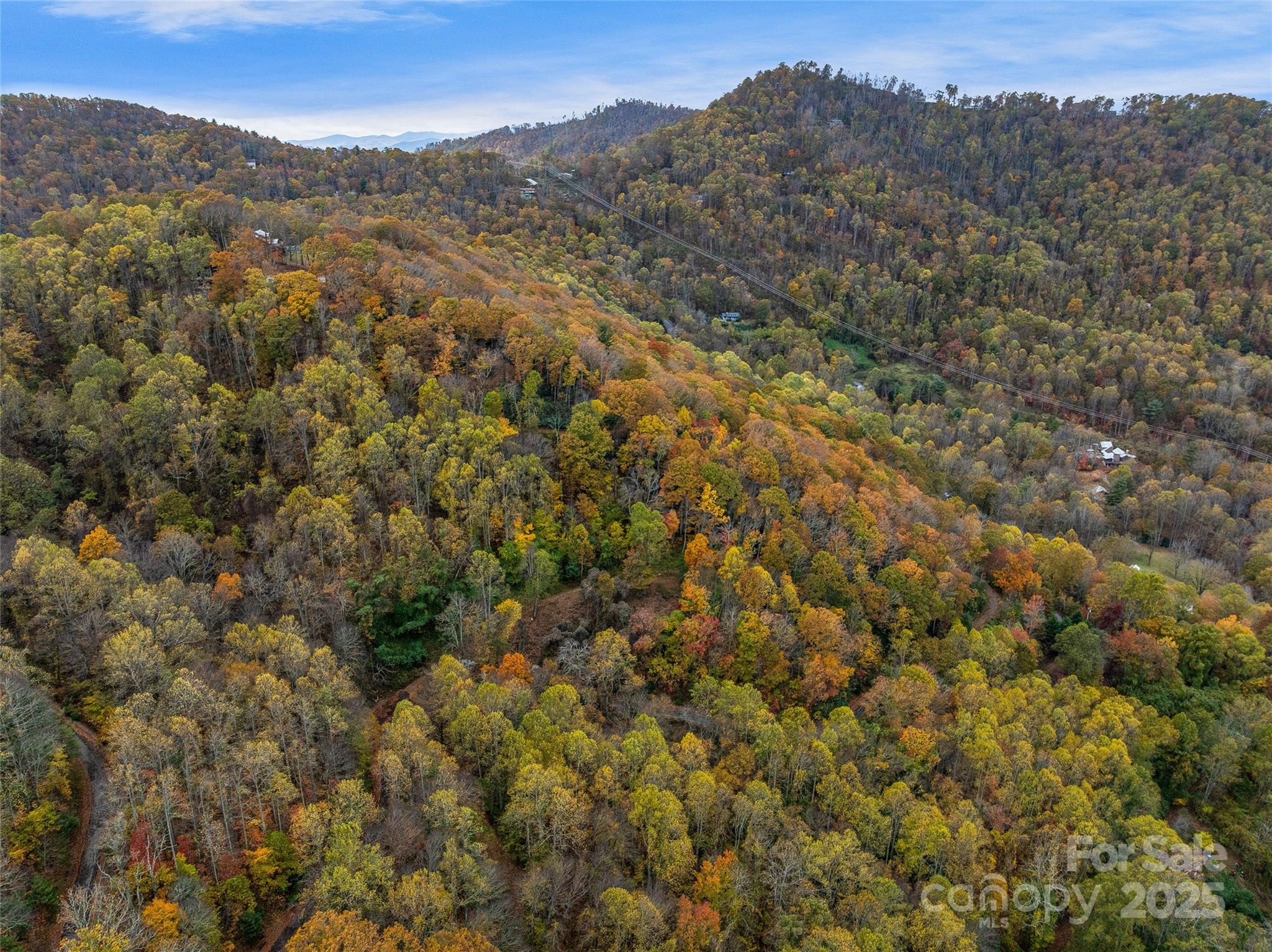 45 Flora Rose Trail Asheville NC 28803
