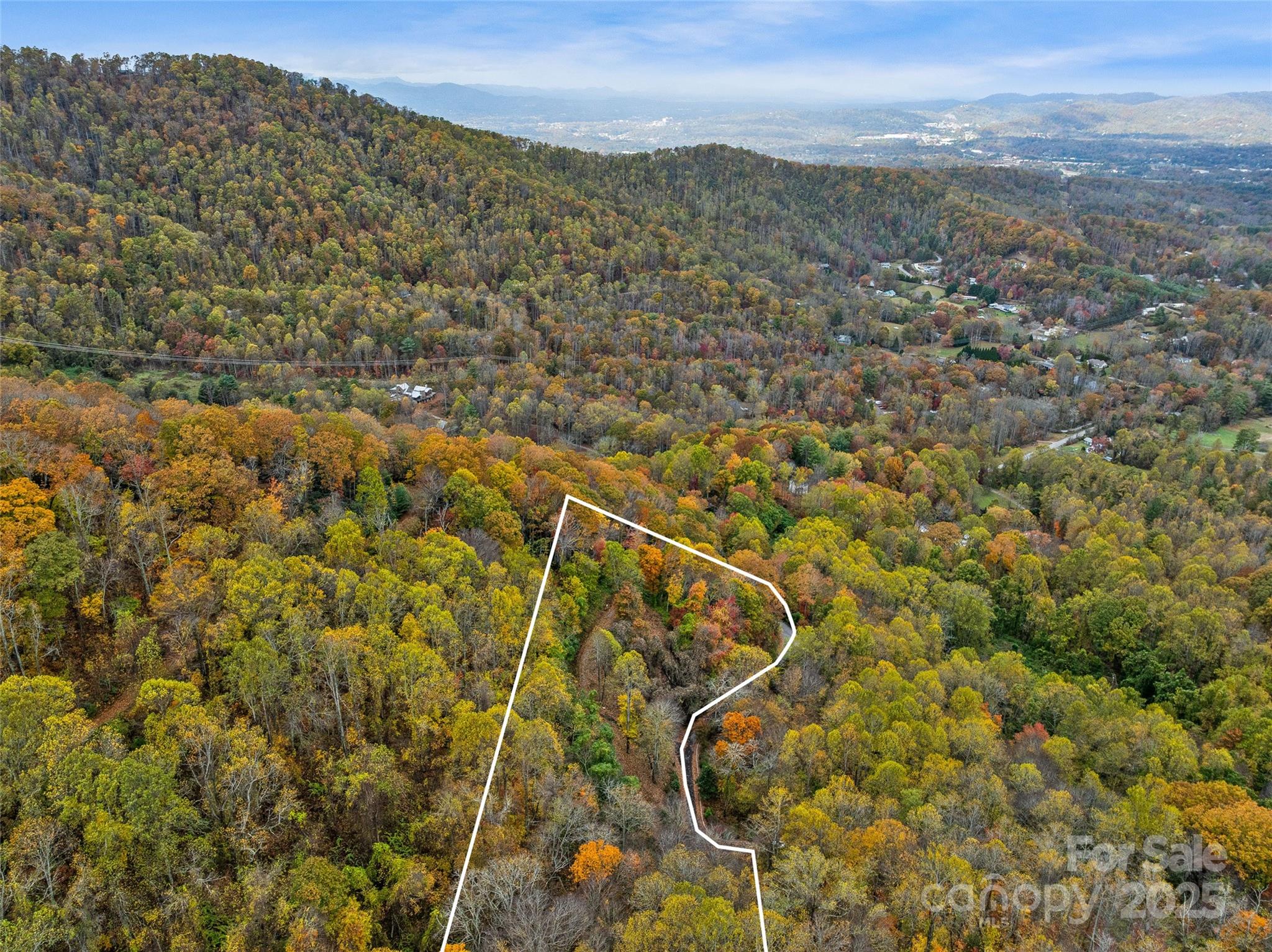 45 Flora Rose Trail Asheville NC 28803