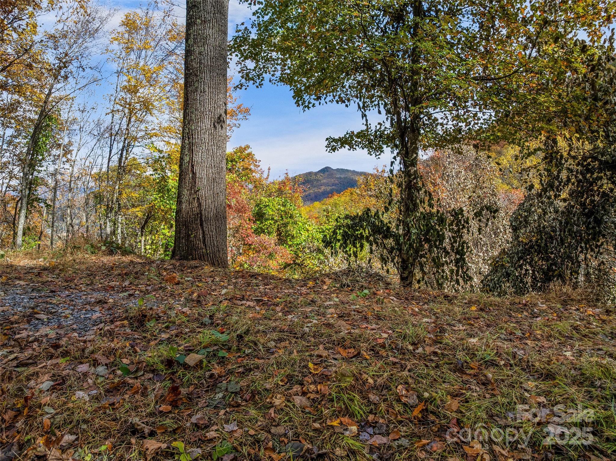 45 Flora Rose Trail Asheville NC 28803