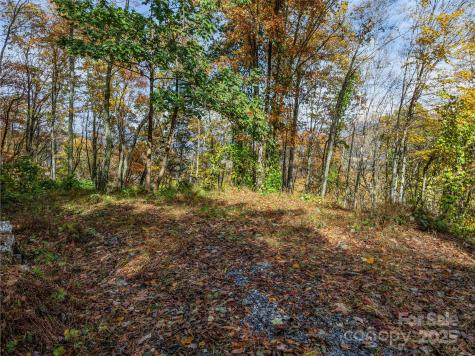 45 Flora Rose Trail Asheville NC 28803