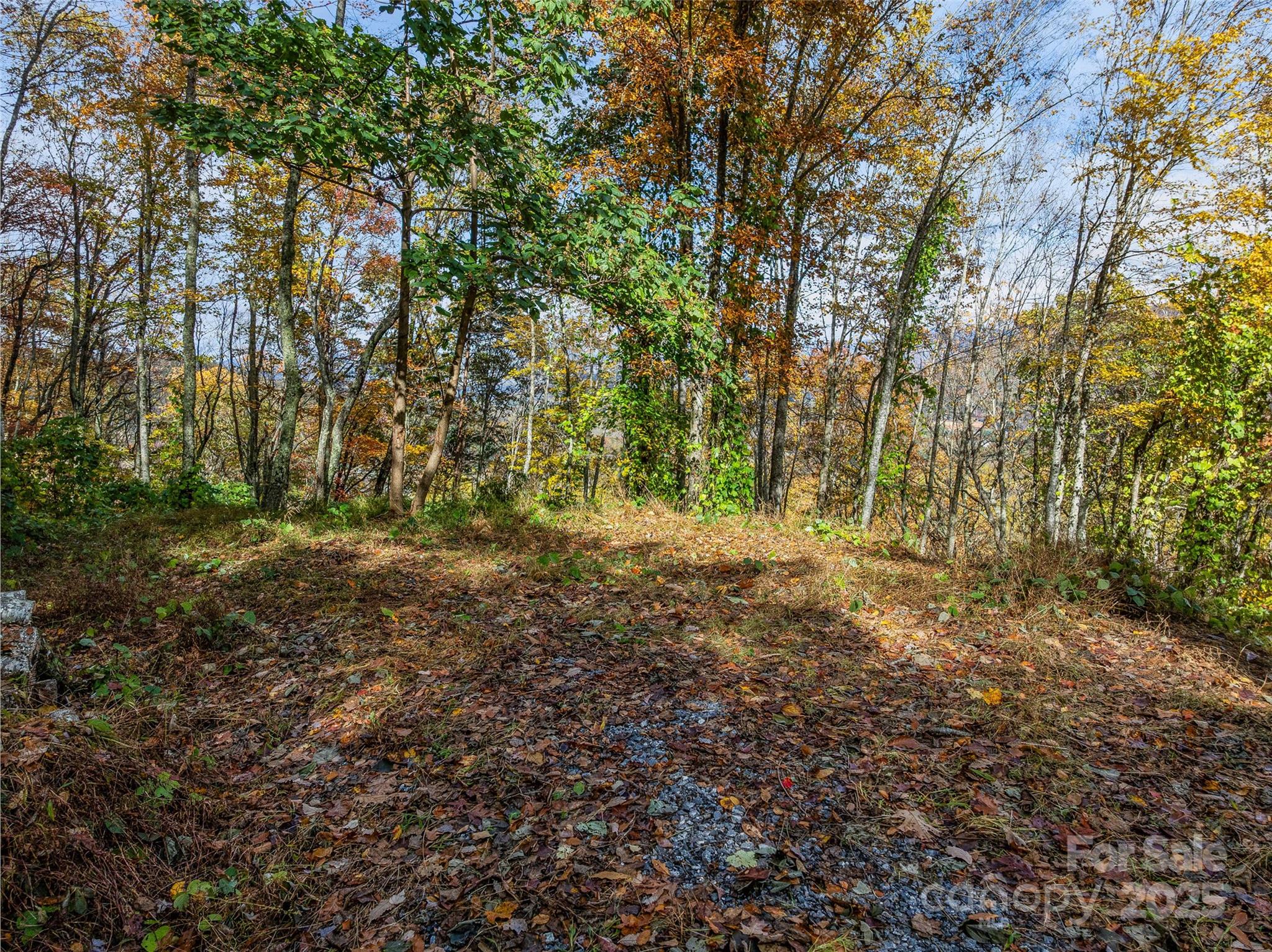 45 Flora Rose Trail Asheville NC 28803