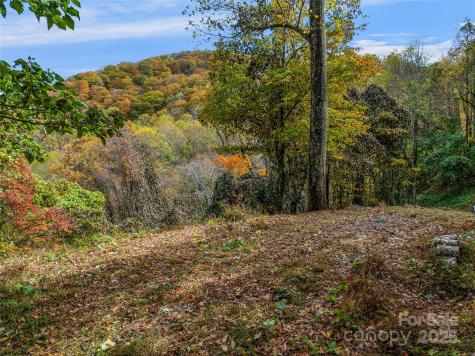 45 Flora Rose Trail Asheville NC 28803