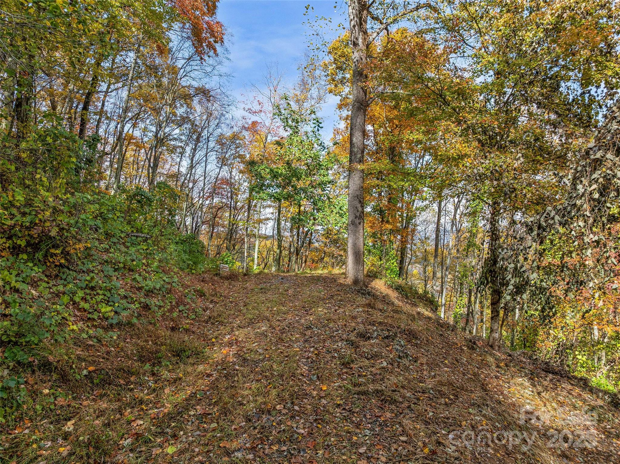 45 Flora Rose Trail Asheville NC 28803