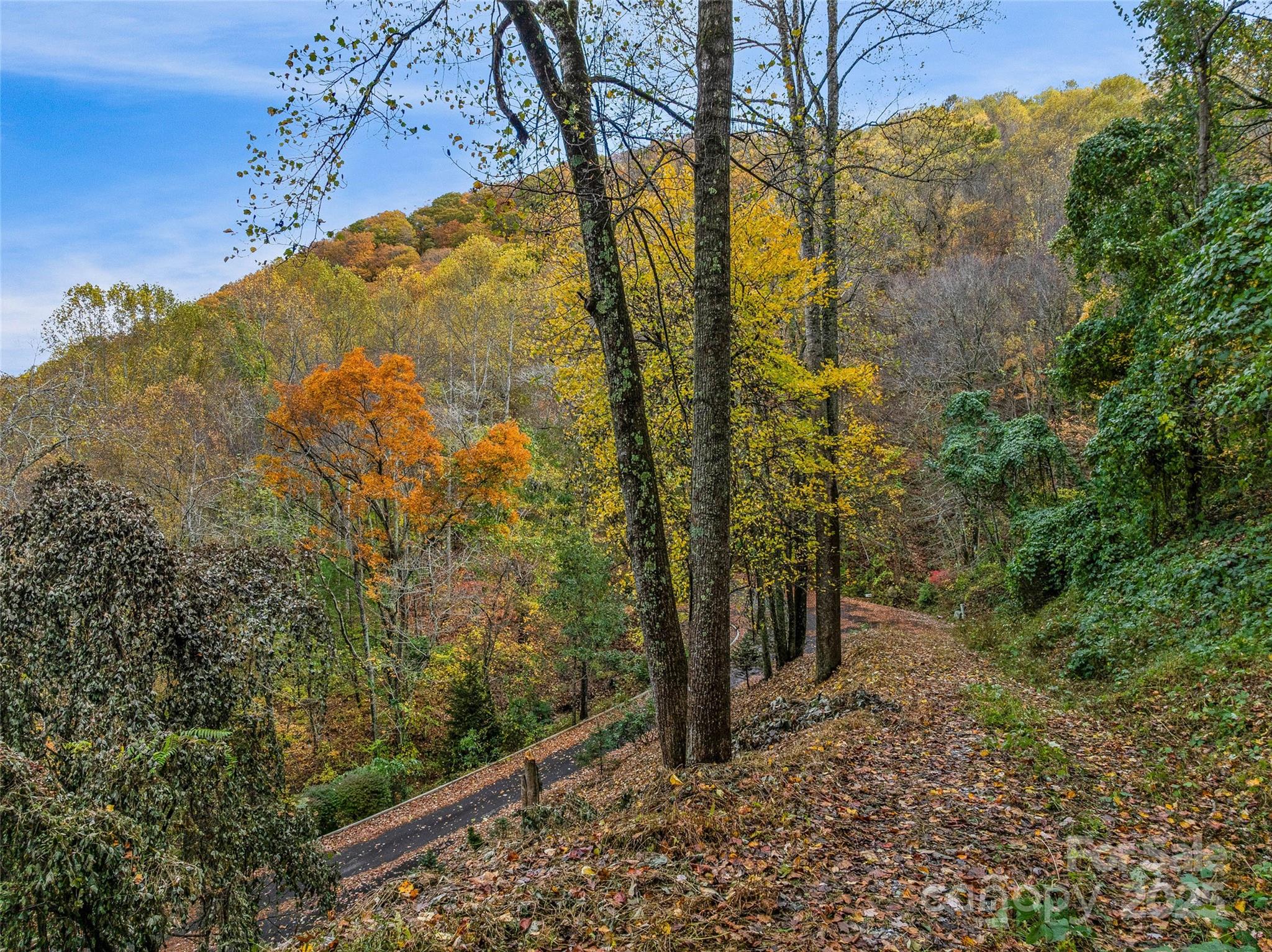 45 Flora Rose Trail Asheville NC 28803