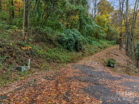 45 Flora Rose Trail Asheville NC 28803