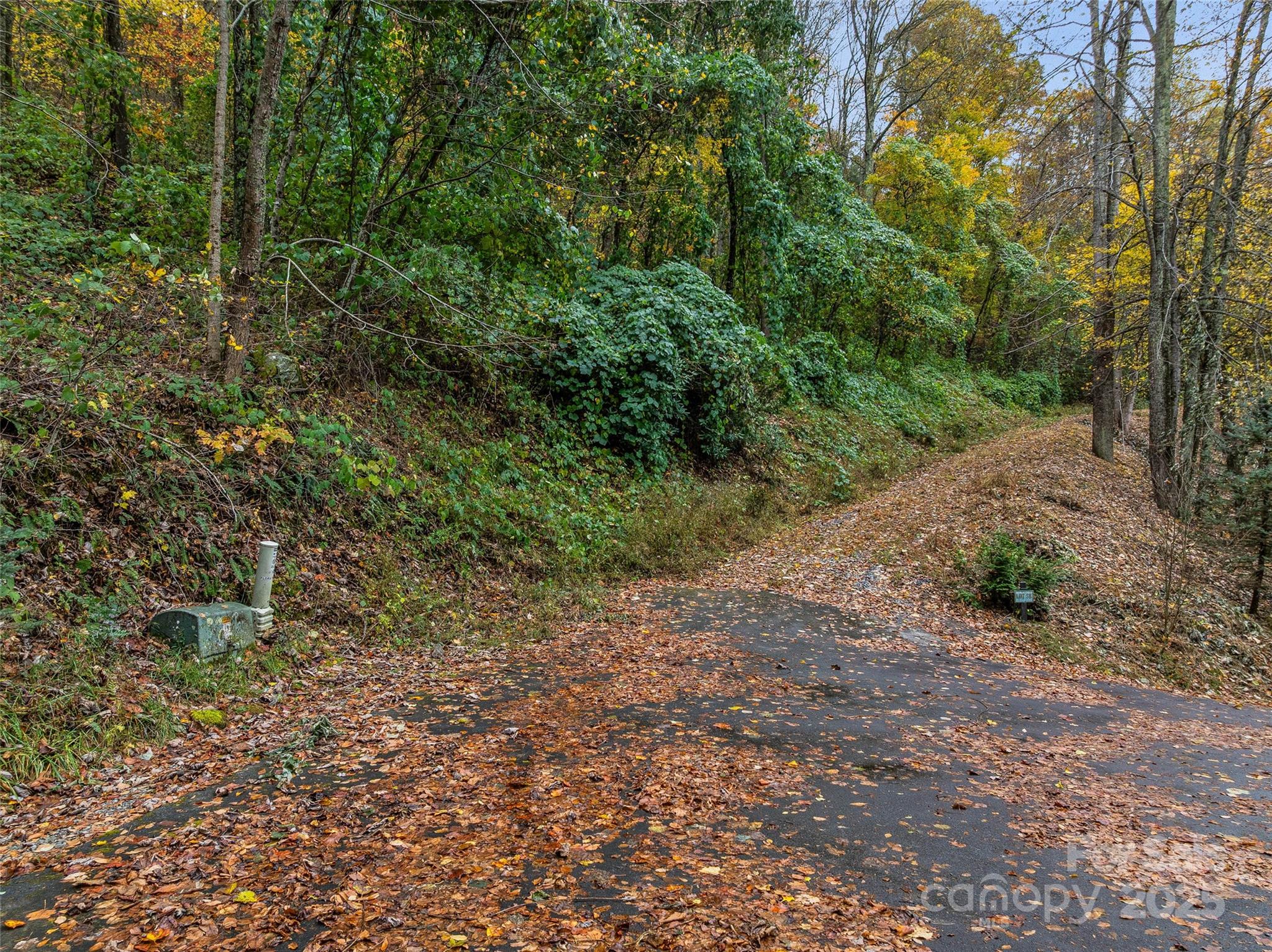 45 Flora Rose Trail Asheville NC 28803