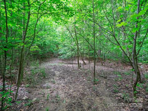 99999 Millbrae Loop Hendersonville NC 28791