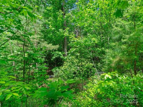 99999 Millbrae Loop Hendersonville NC 28791