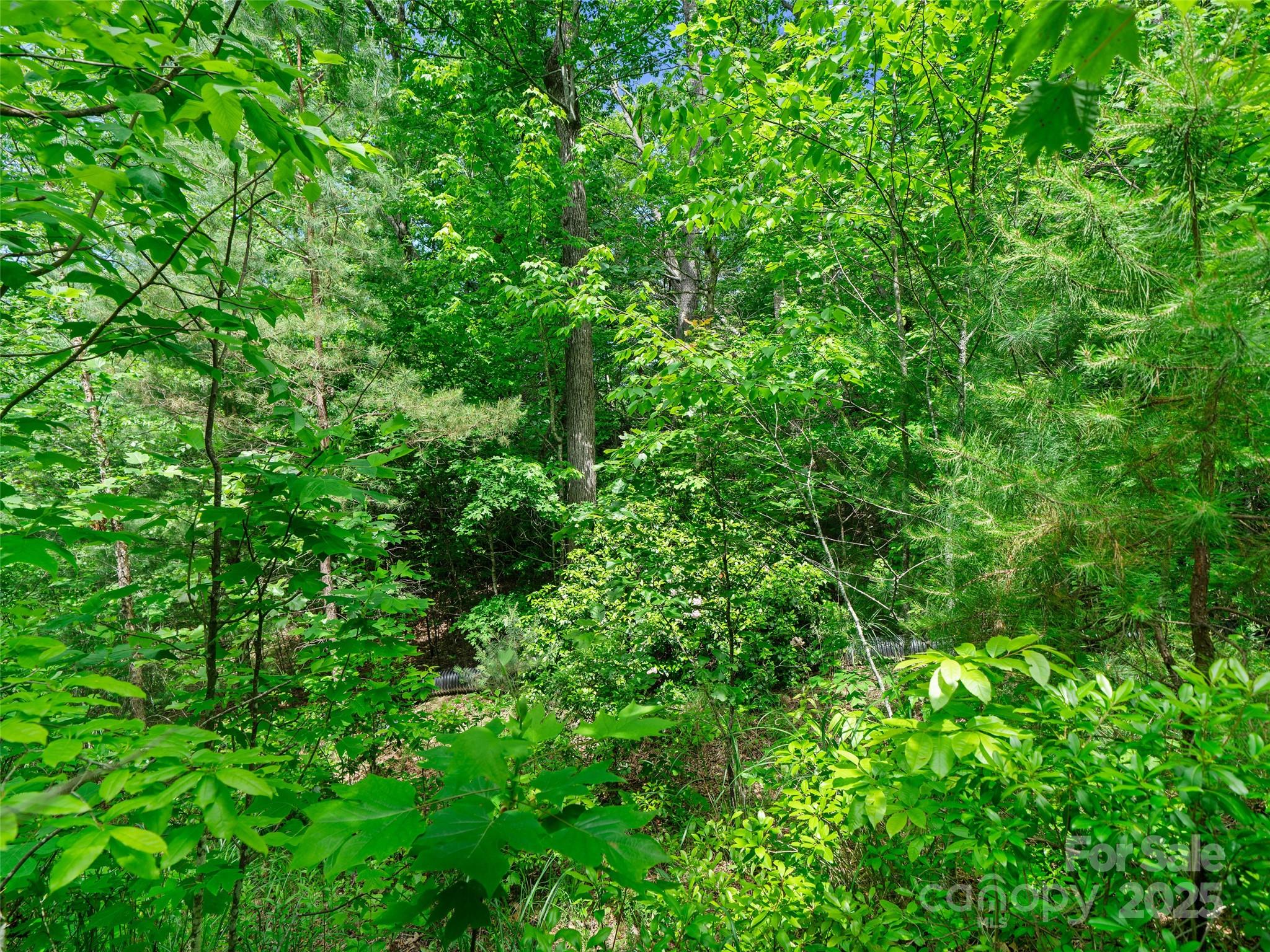 99999 Millbrae Loop Hendersonville NC 28791